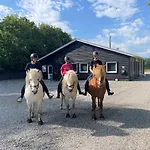 Farmház Saga Herning