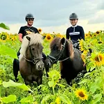 Farmház Saga
