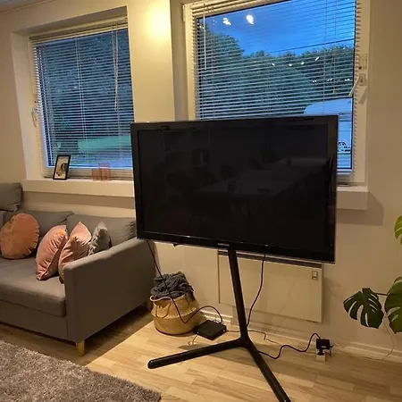 Çiftlik konaklama Saga *