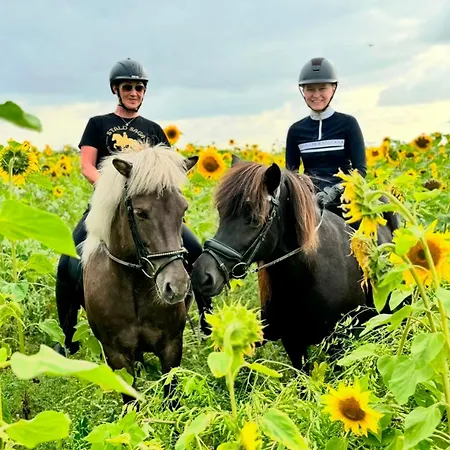 Çiftlik konaklama Saga