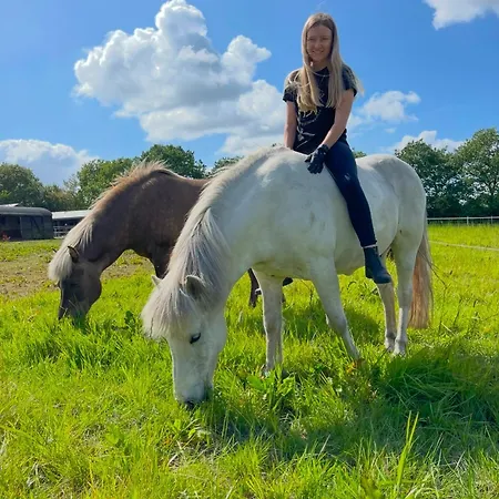 Çiftlik konaklama Saga *