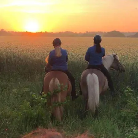 Saga Çiftlik konaklama Herning