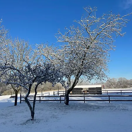 Çiftlik konaklama Saga Herning