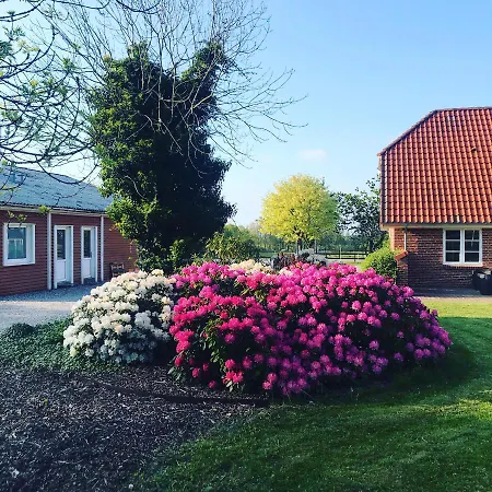 Saga Çiftlik konaklama *