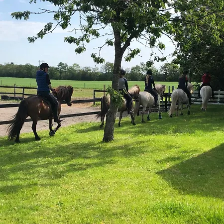 Çiftlik konaklama Saga