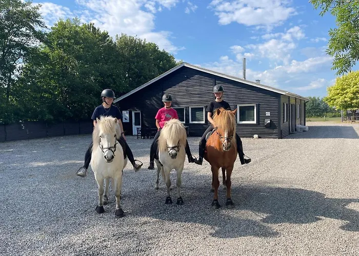 Farm stay Saga Herning