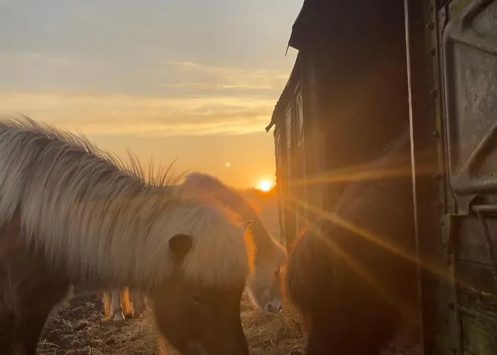 Farm stay Saga Herning