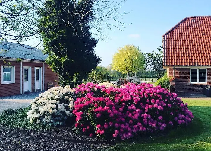Saga Feriegård *